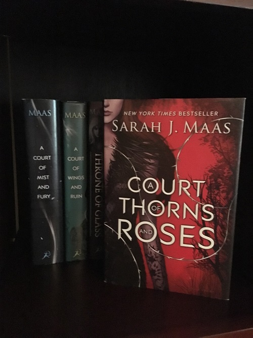 Cait S Review Of A Court Of Thorns And Roses By Sarah J Maas Functionally Fictional